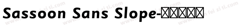Sassoon Sans Slope字体转换